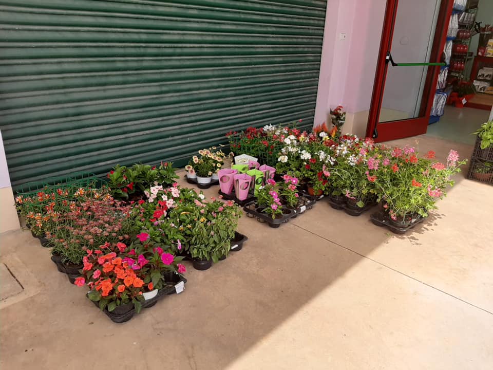 Fiori in vendita