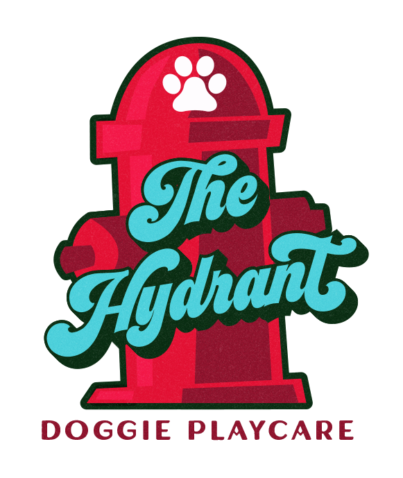Red fire hydrant logo with turquoise “The Hydrant” text and “Doggie Playcare” below