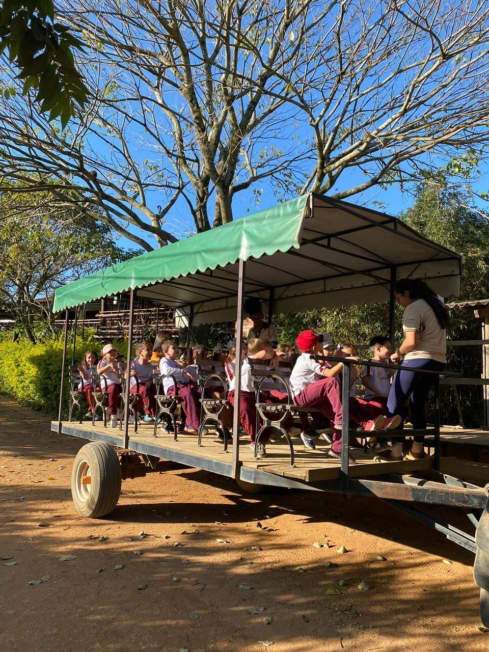 Visitas Escolares no Sítio Sassafraz