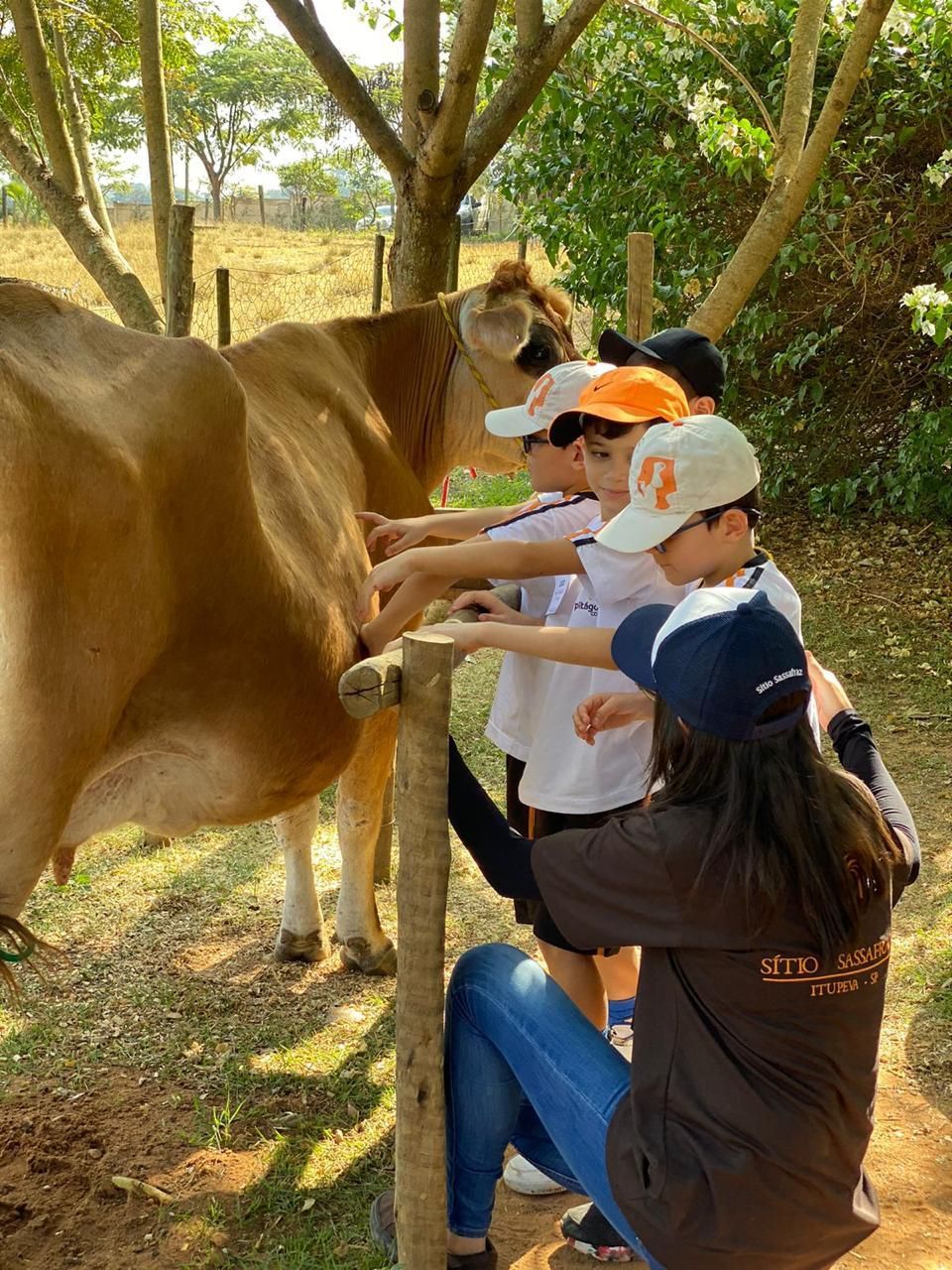 Visitas Escolares no Sítio Sassafraz