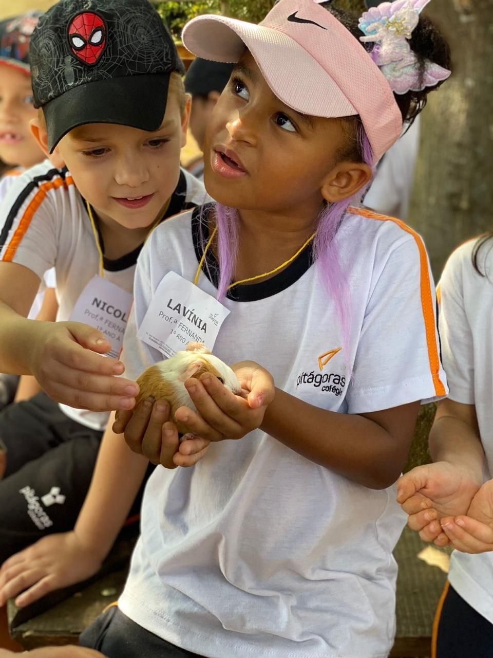 Visitas Escolares no Sítio Sassafraz
