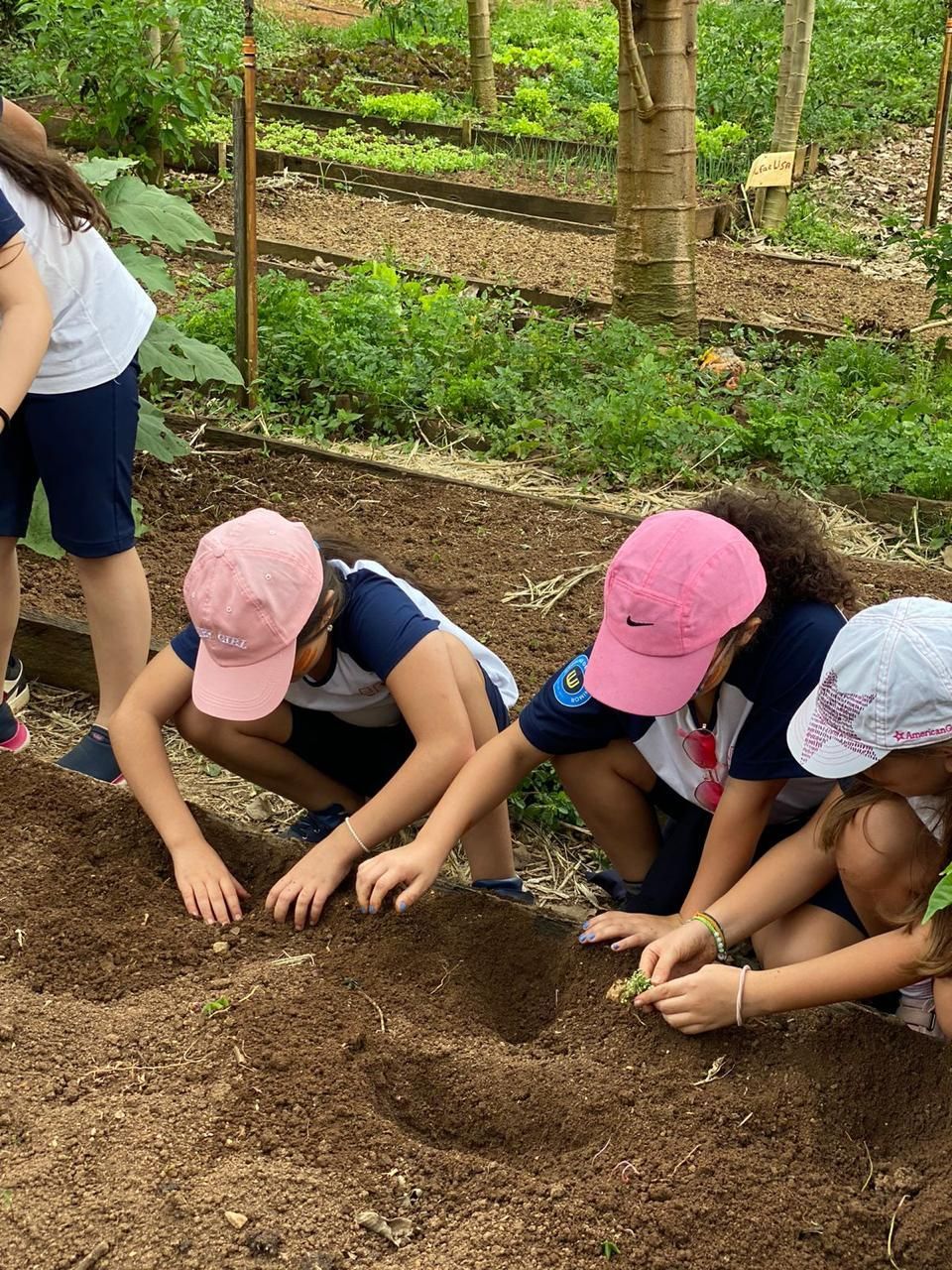 Visitas Escolares no Sítio Sassafraz