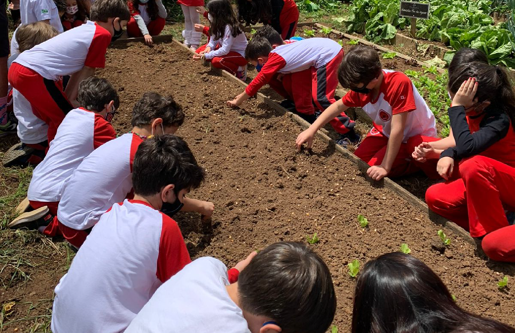 Escolas no Sítio Sassafraz