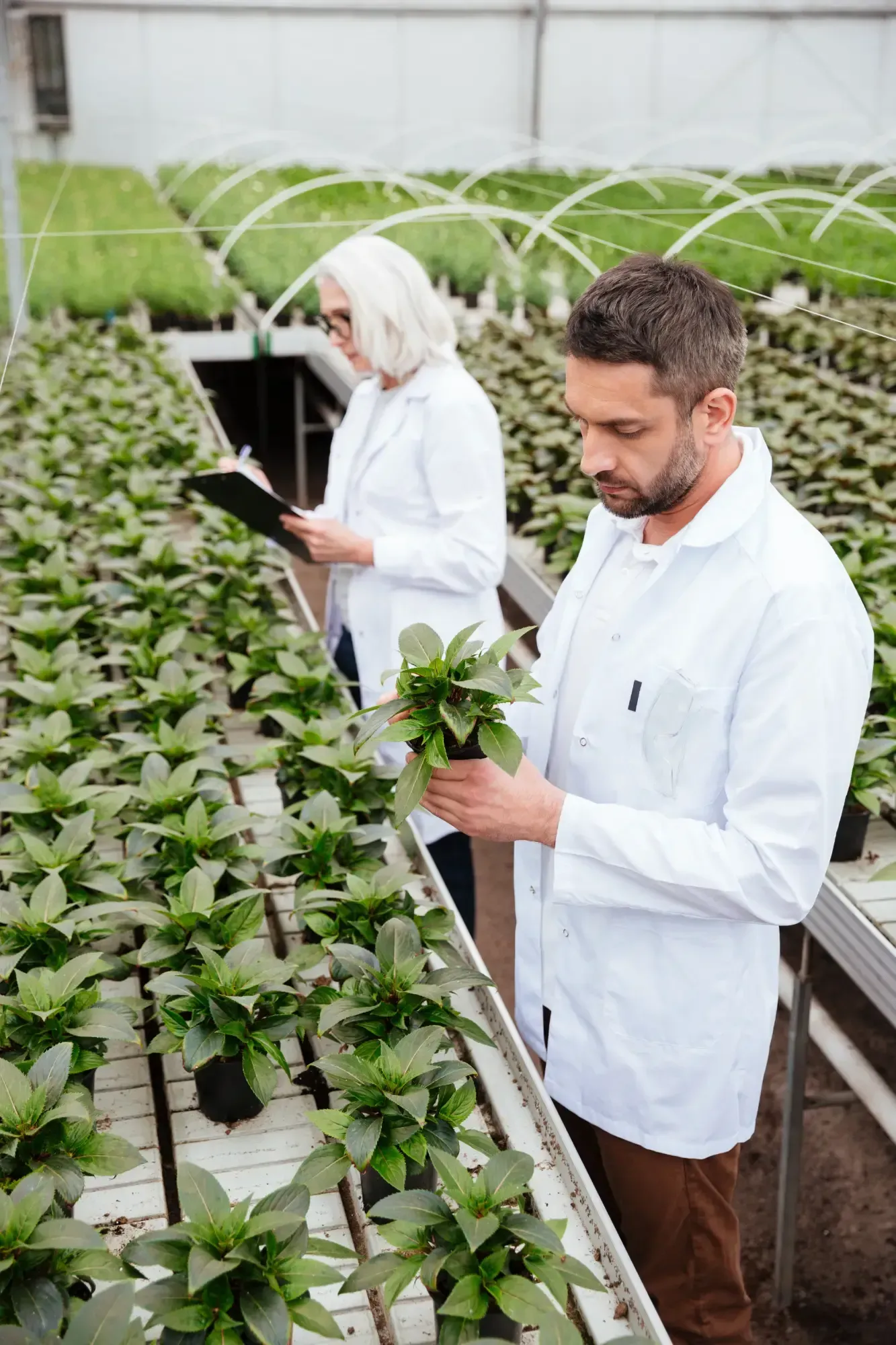 Agricultural landscape and farming operations
