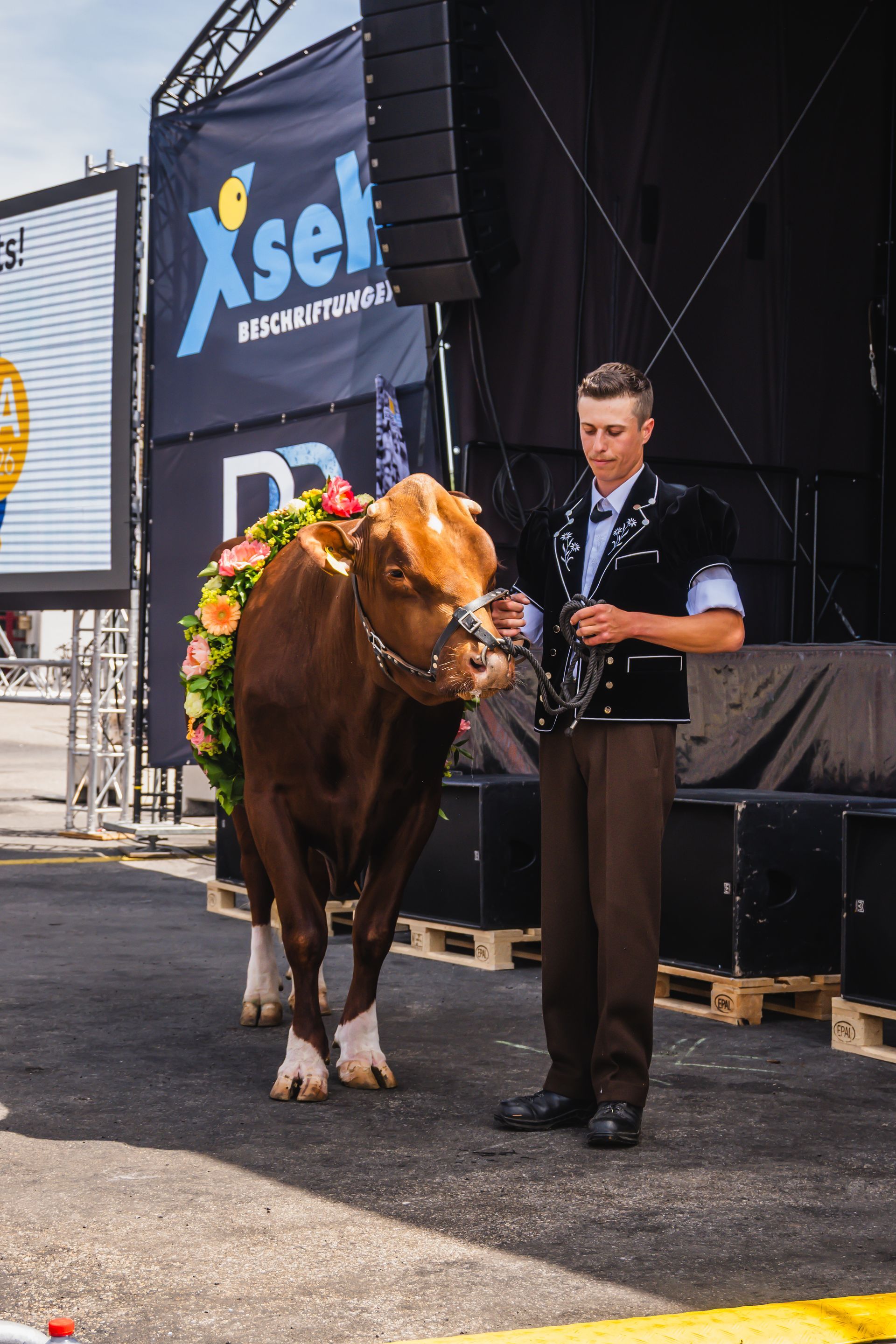 Munitaufe Oberaargauisches Schwingfest 2027 Langenthal