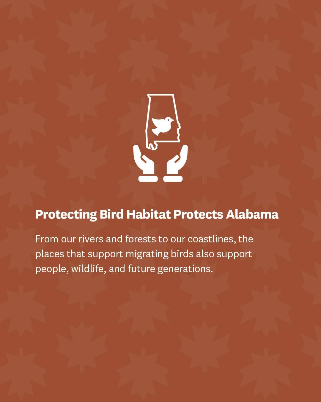 Alabama Fall Bird Migration 