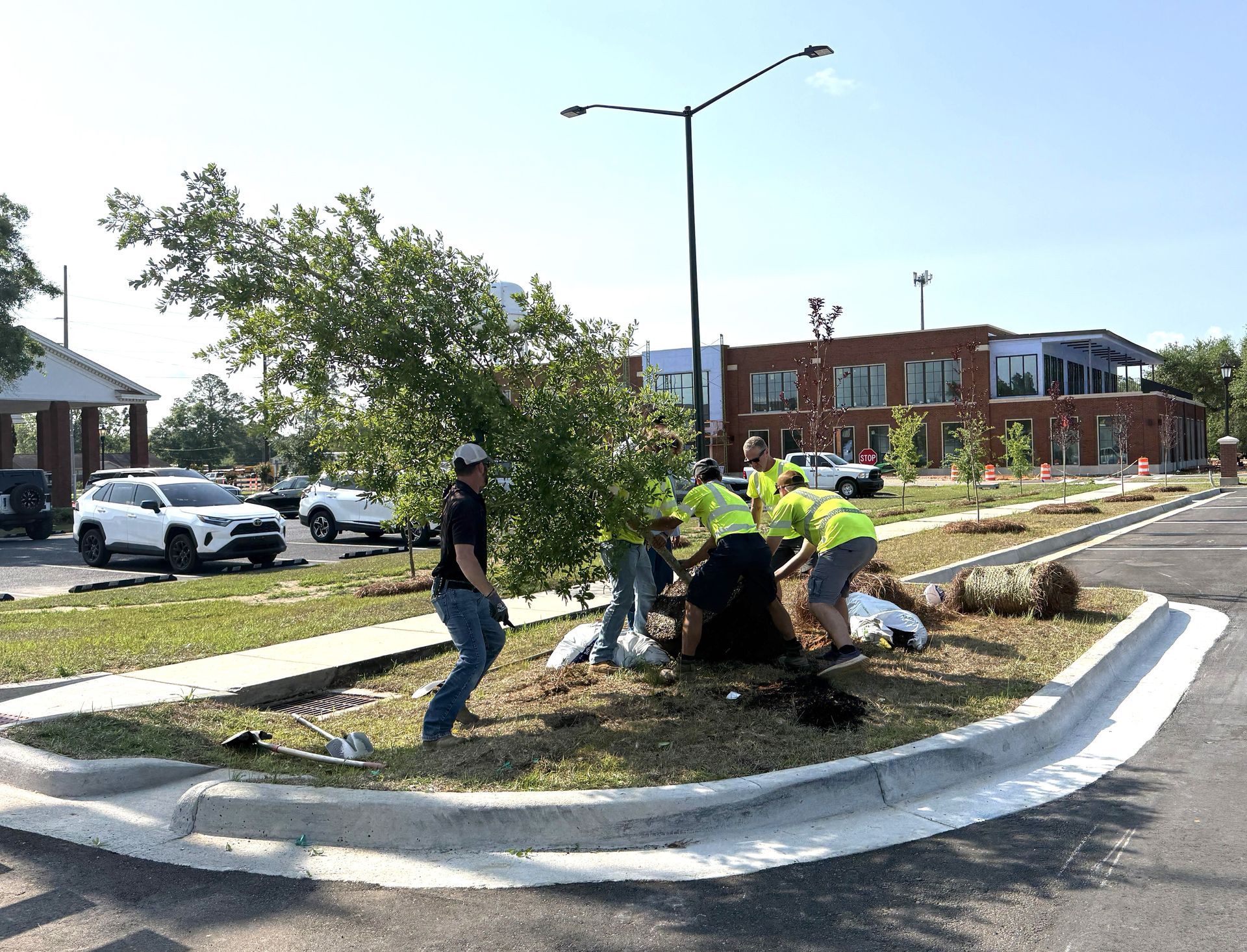 Foley has planted 250 trees around the city as part of the celebration of the 250th anniversary of the beginning of the United States. 
