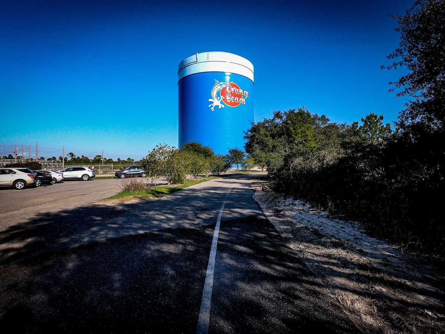Orange Beach Water Tower at Cotton Bayou