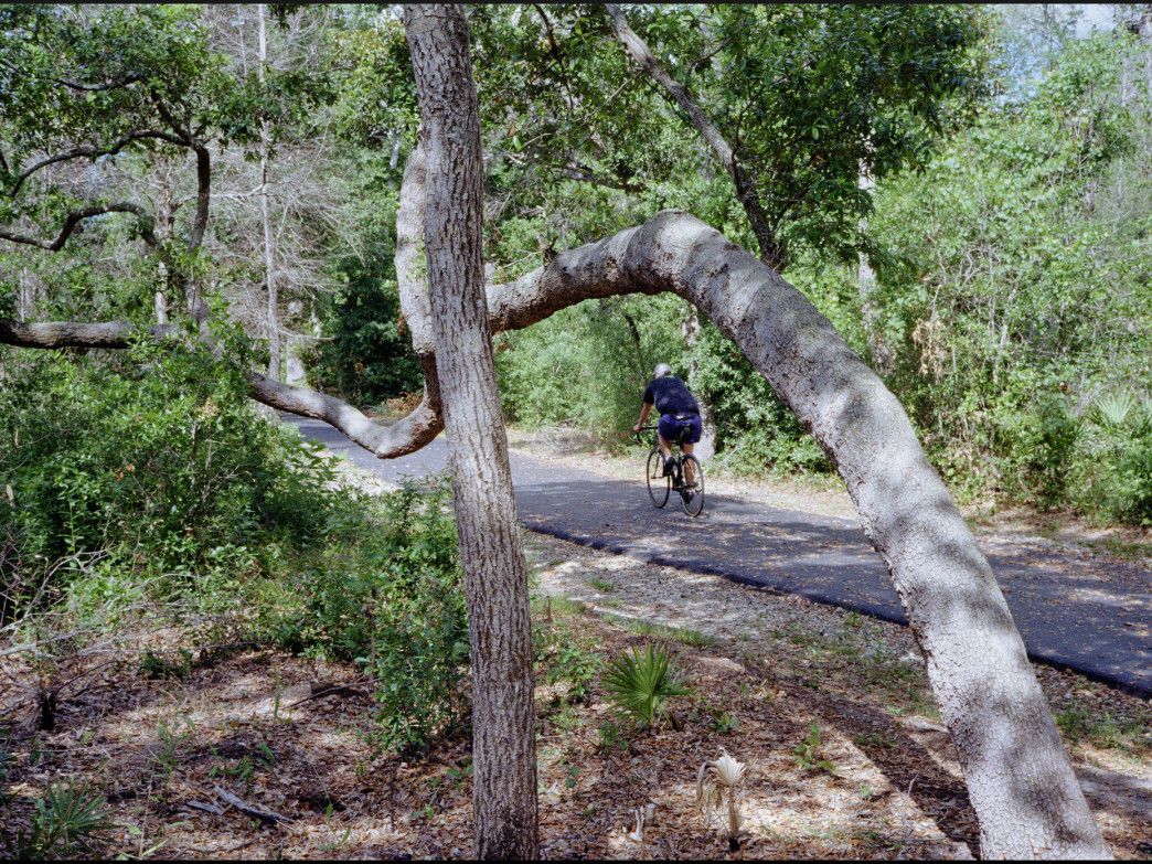 Gulf State Park Plans First Venture Out Festival This May