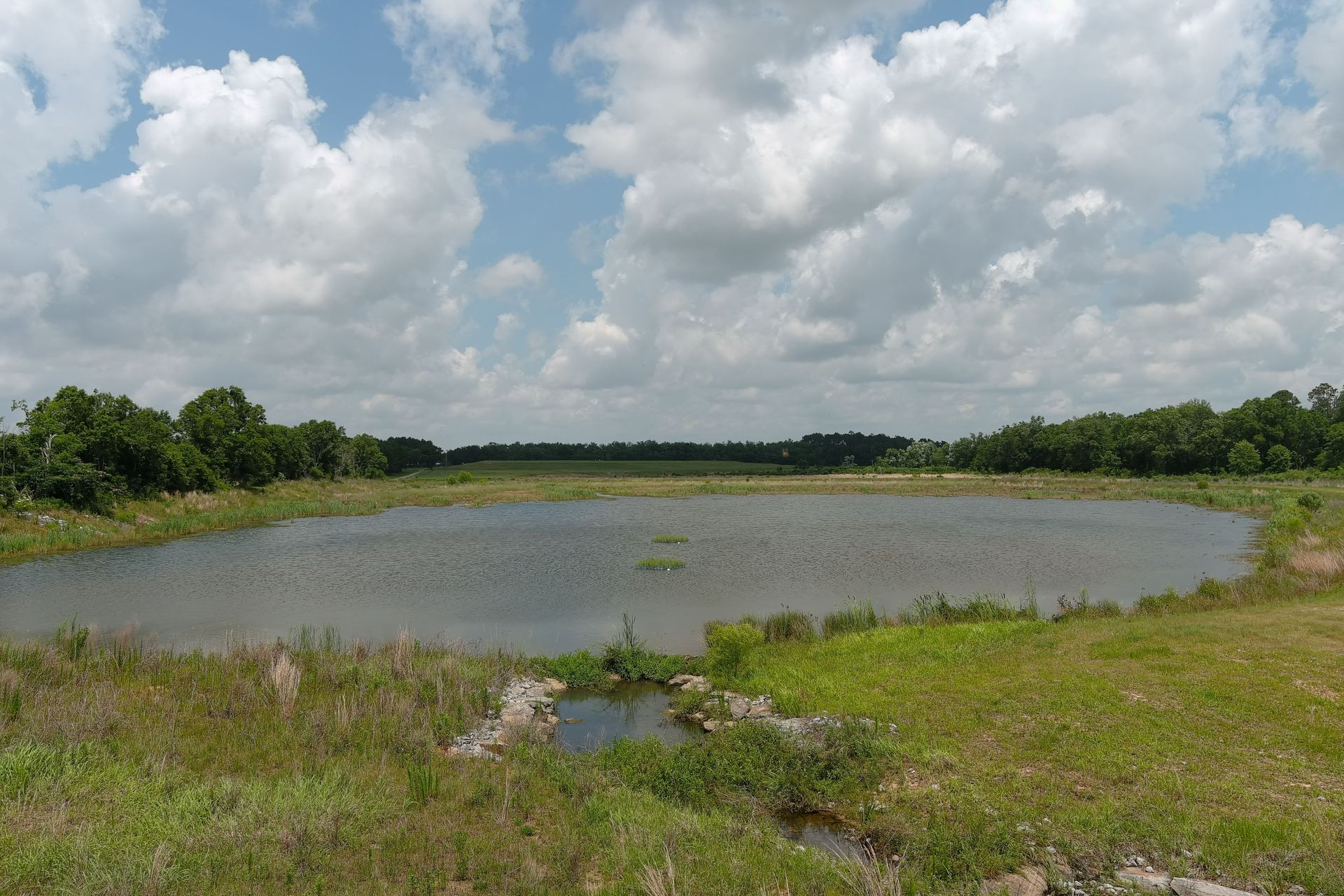 New Wetland Reserve Near Bon Secour River Headwaters Progresses