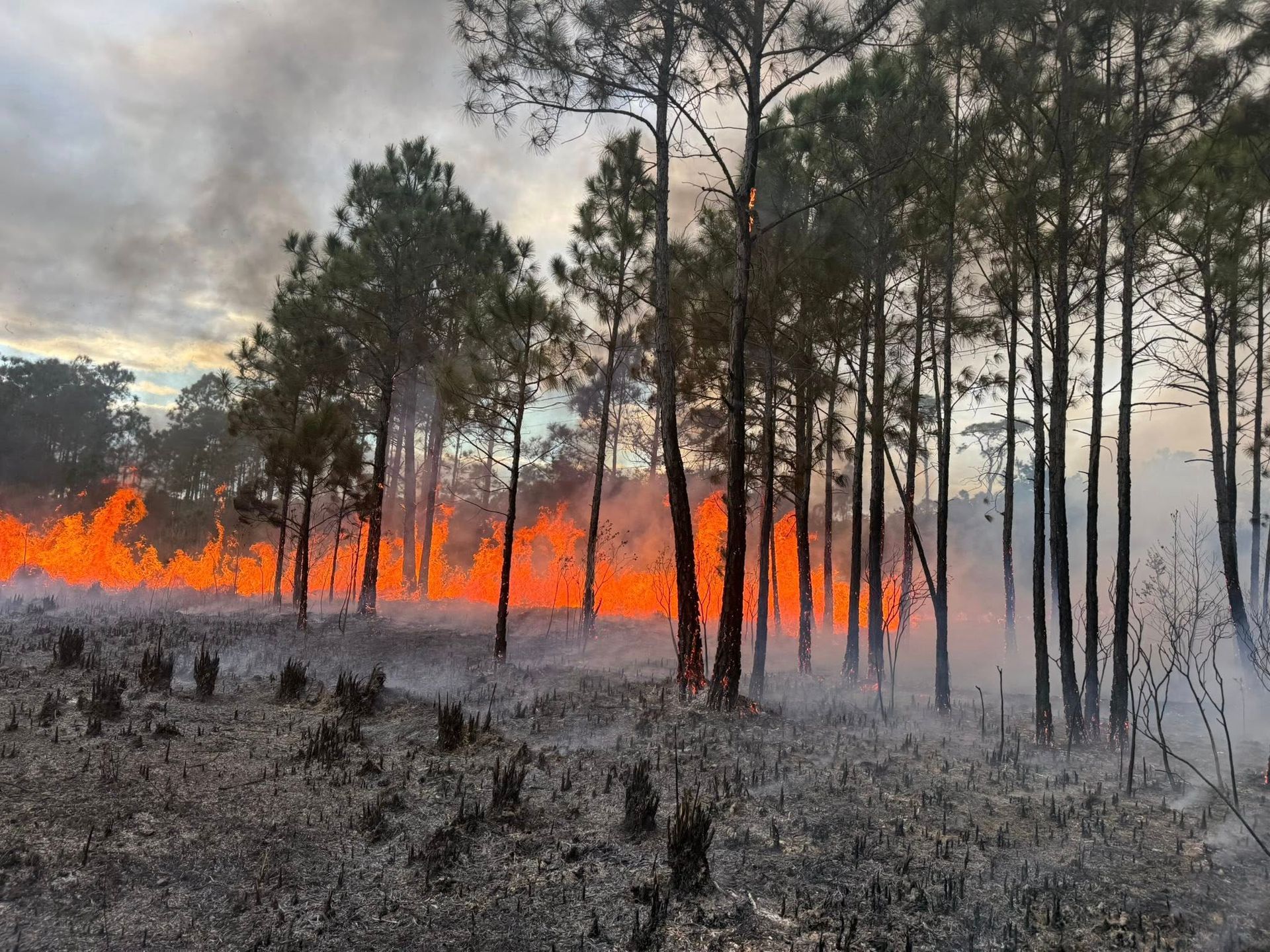 Crews Hold Fifteen-Acre Fire on Fort Morgan Road Before It Reached Homes