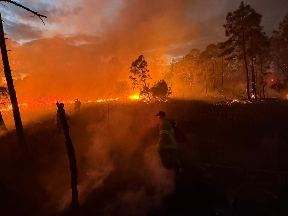 Crews Hold Fifteen-Acre Fire on Fort Morgan Road Before It Reached Homes