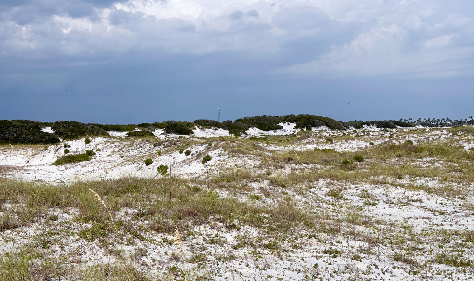Donation Strengthens Ongoing Coastal Conservation Efforts