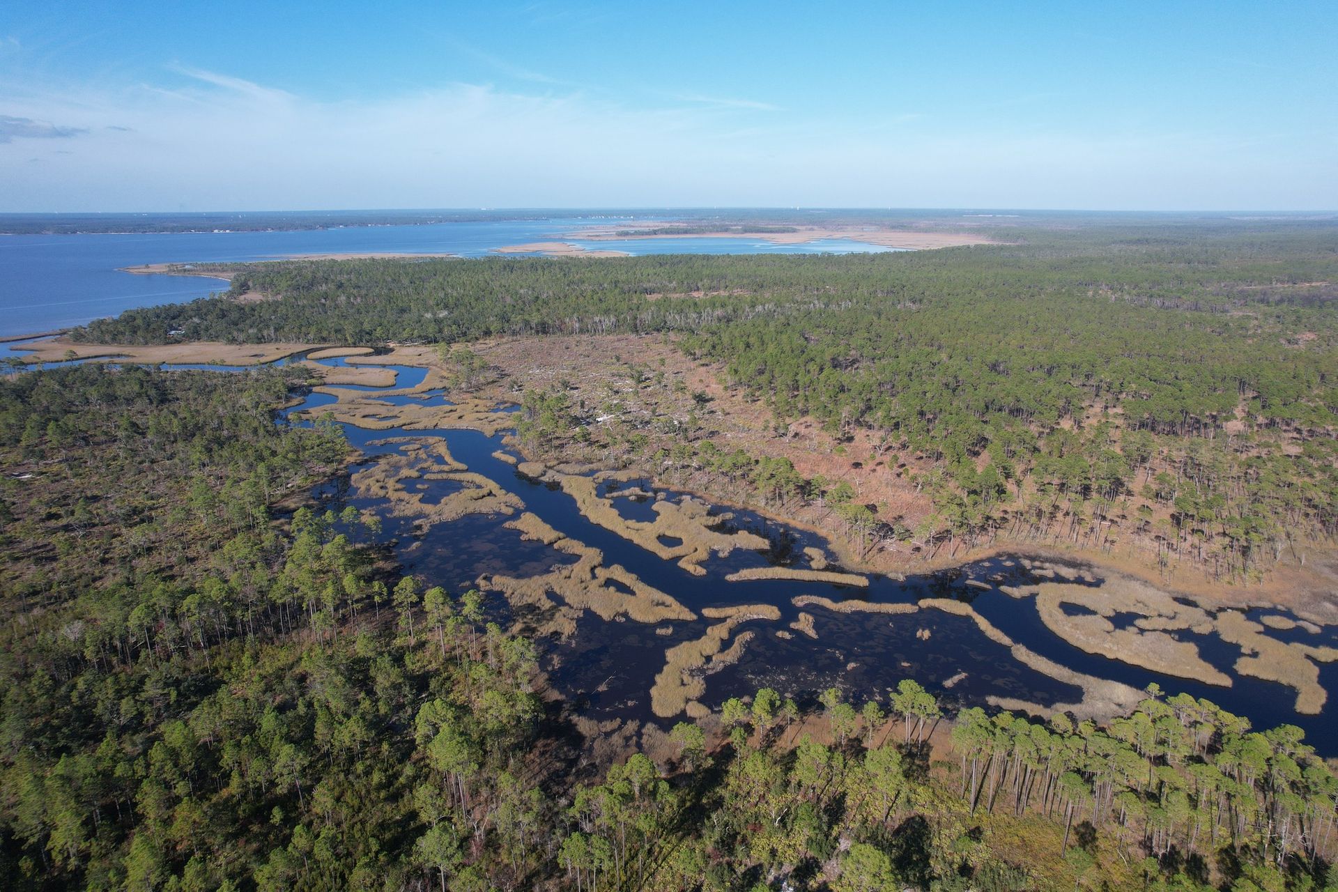 Funday Bayou at Escribano Point Wildlife Management Area - Photo from the Pensacola and Perdido Bays Estuary Facebook page.