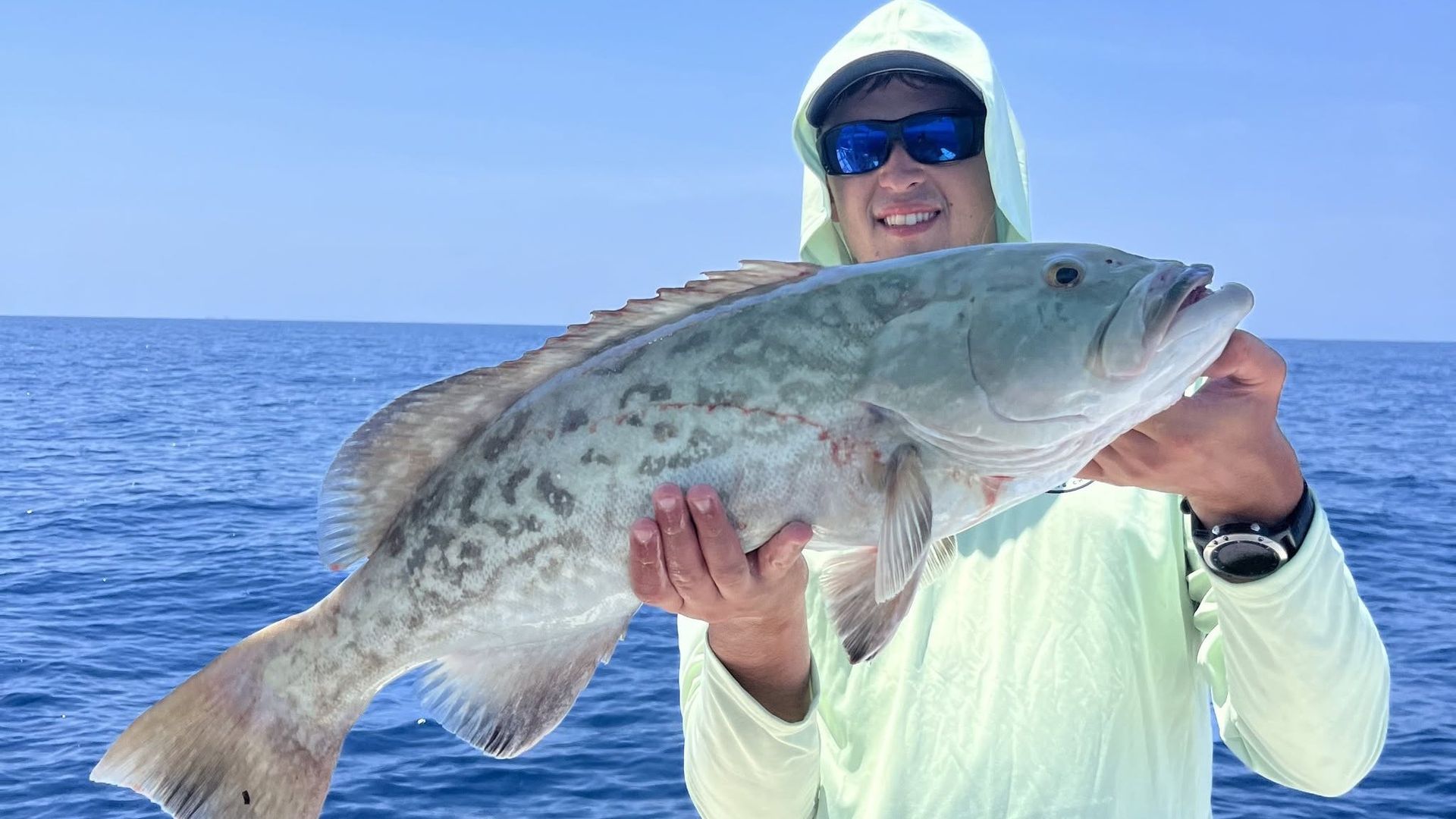 Gag Grouper - Photo from Gulf Council