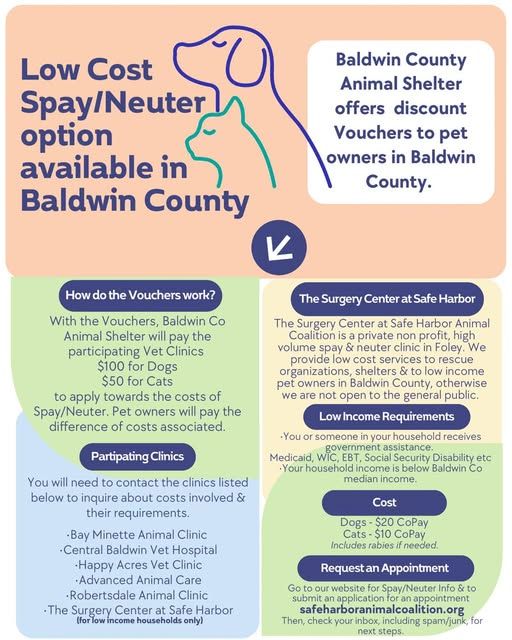 Low-Cost Spay/Neuter in Baldwin County