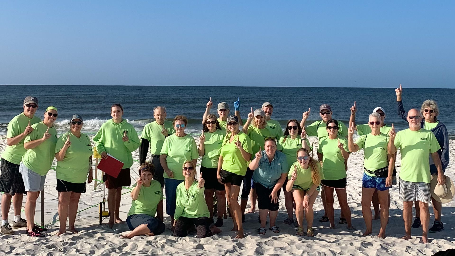 Record-Breaking Sea Turtle Season on World Sea Turtle Day