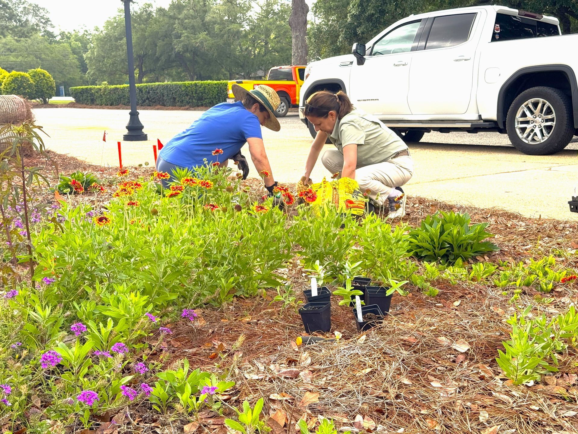 Members of the Baldwin County Master Gardeners plant milkweed and other plants in the Riviera Utilities Native Pollinator Garden on East Laurel Avenue in preparation for the Welcome Back Pollinators event on May 9.