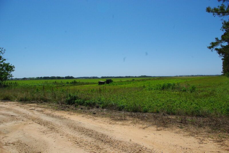 Proposed Solar Farm Under Review by Foley City Council