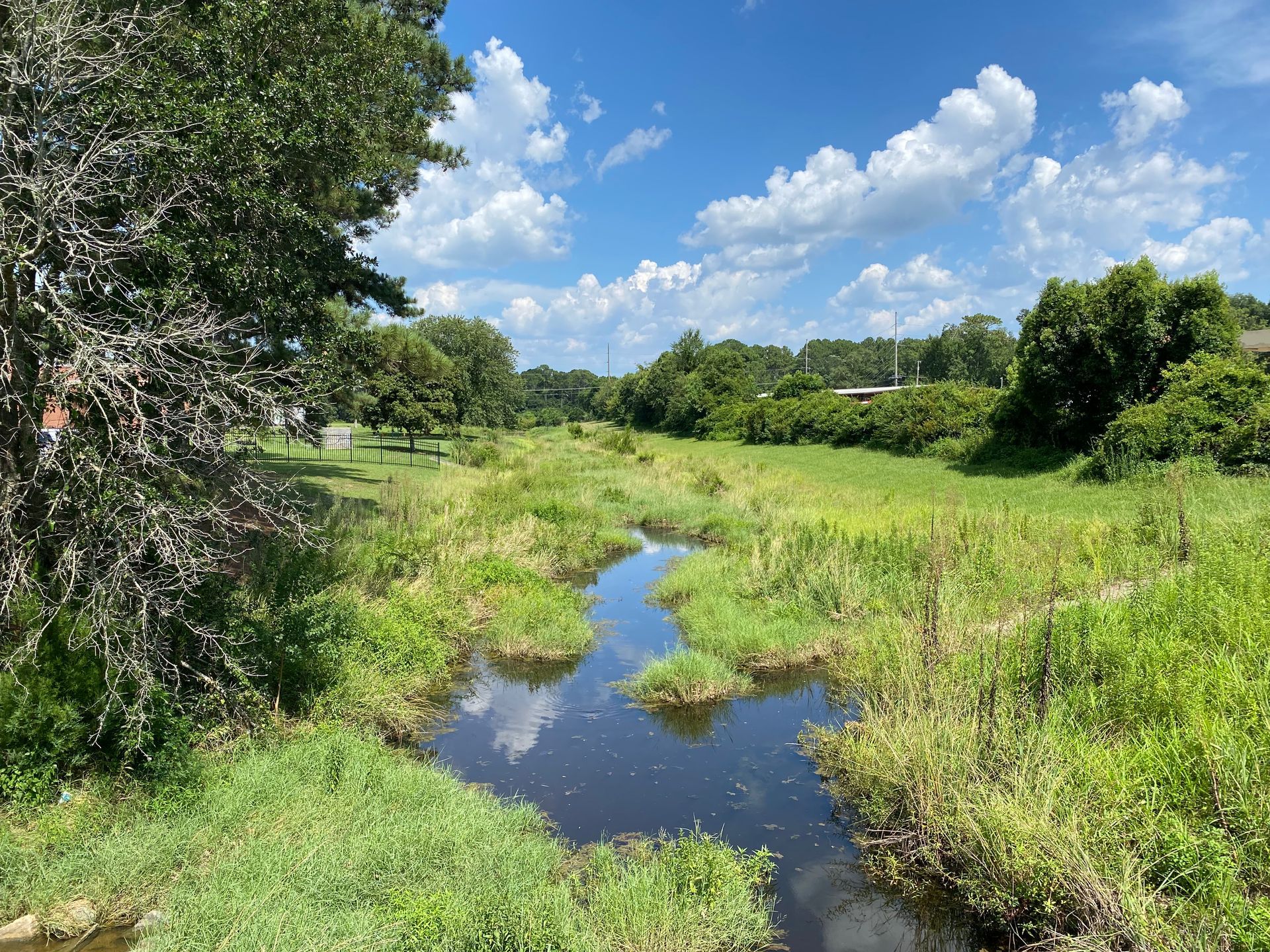 New Greenway Planned Along Foley’s Wolf Creek