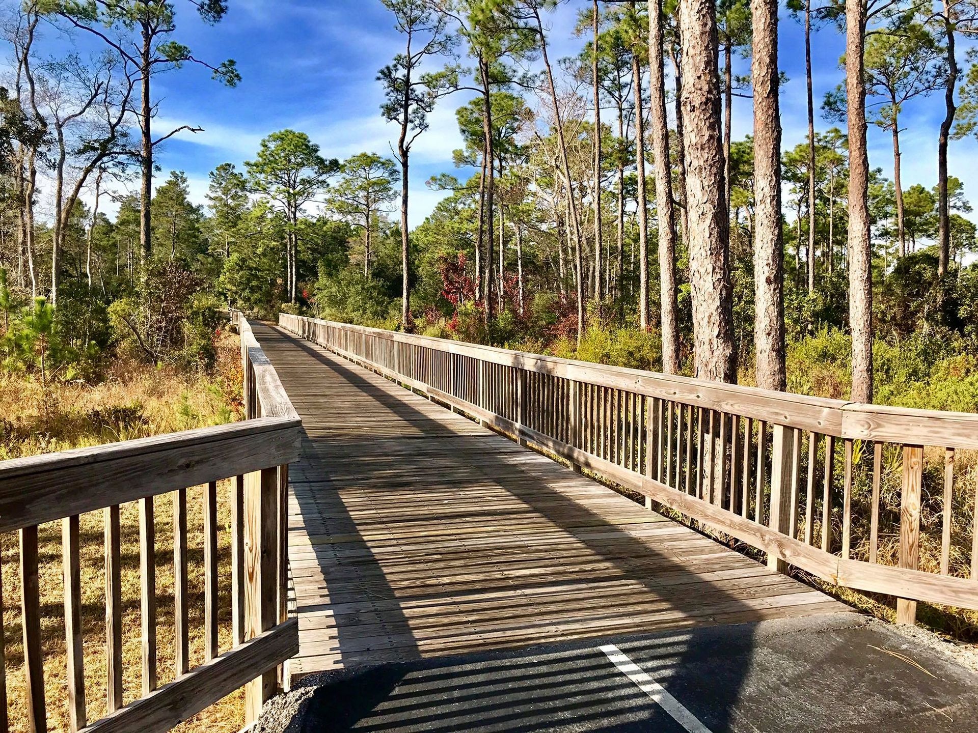 Boardwalk on Twin Bridges Trail