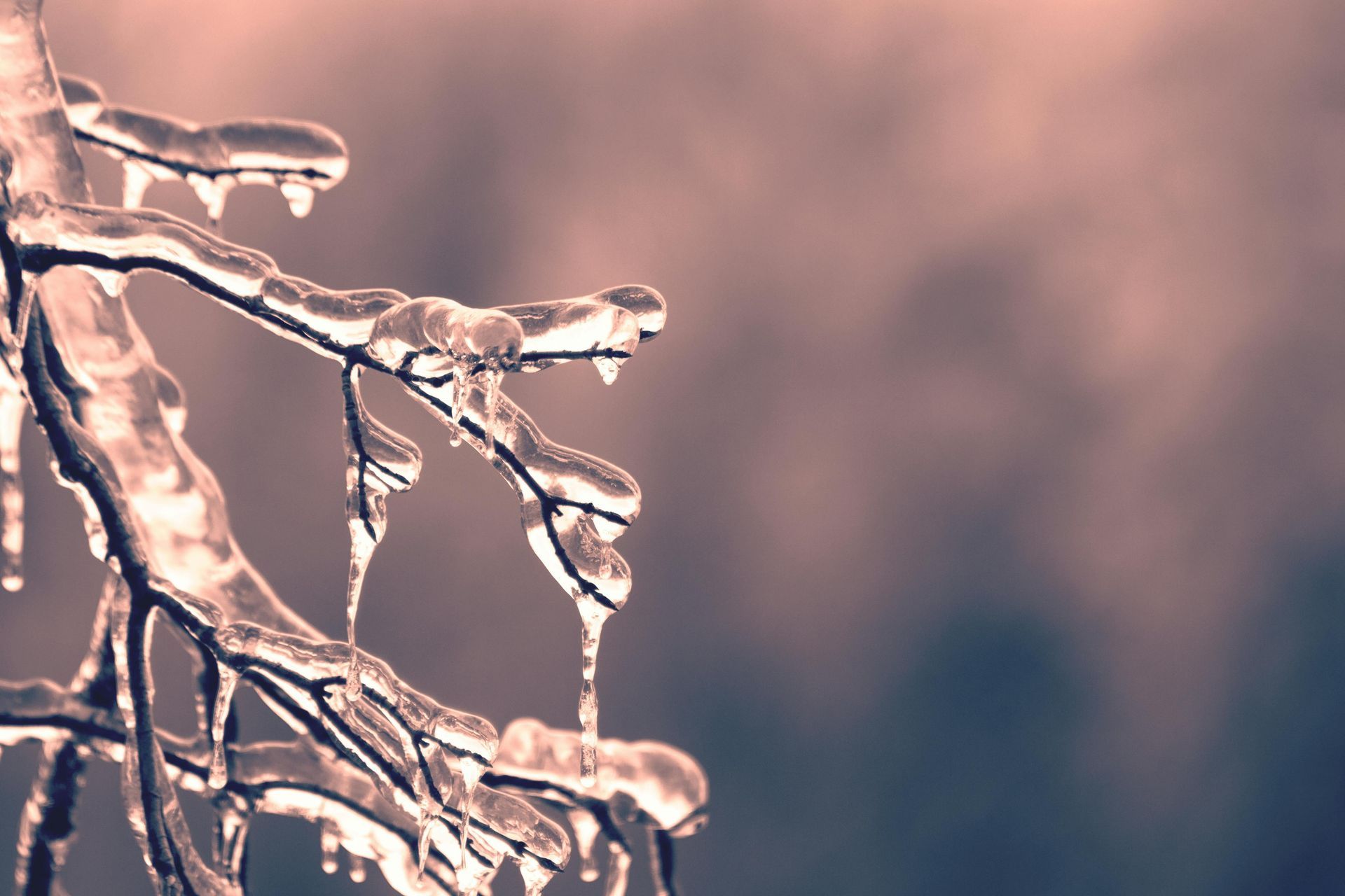 Freezing Temperatures Expected to Start Sunday Night on the Gulf Coast