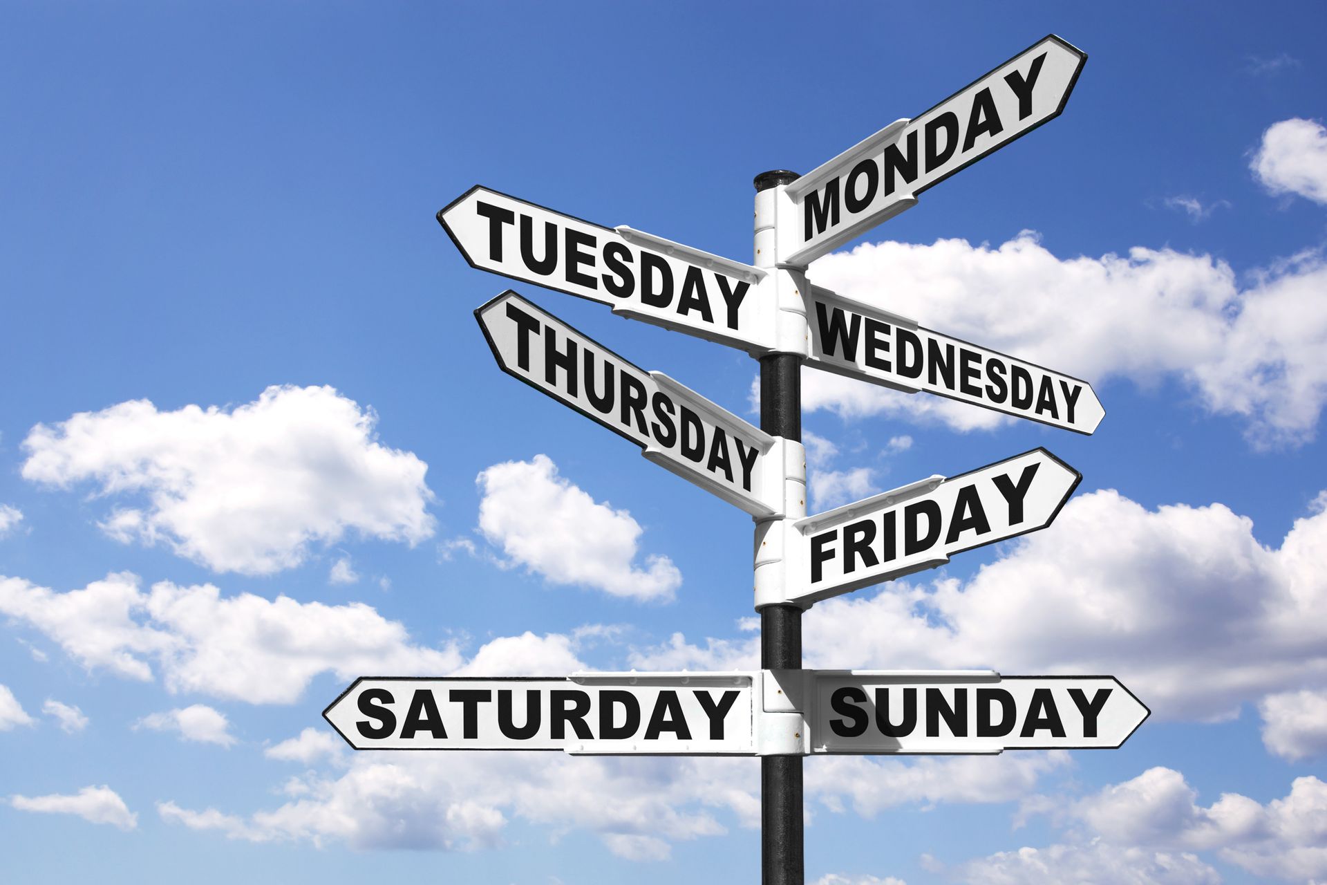 Things To Do on The Gulf Coast This Week.