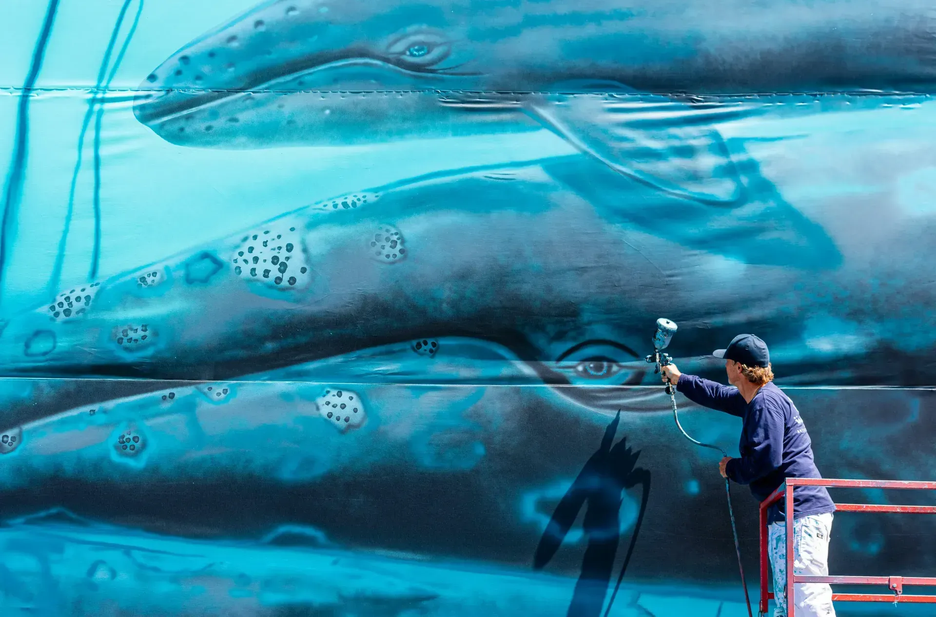 Wyland Photo - Orange County Register
