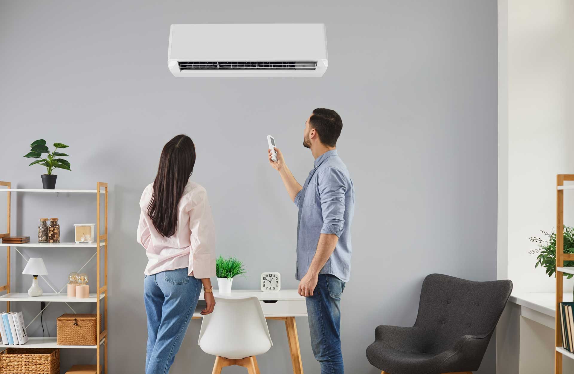 Couple looking at an AC unit, man holding remote. Gray wall, shelving, plants, desk.