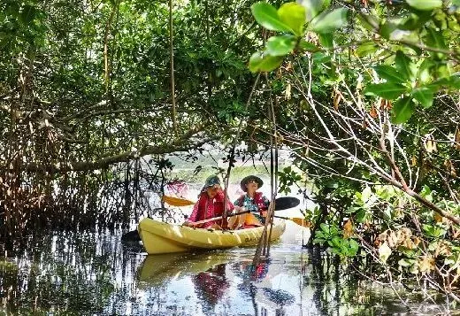 A group of people are kayaking in the ocean