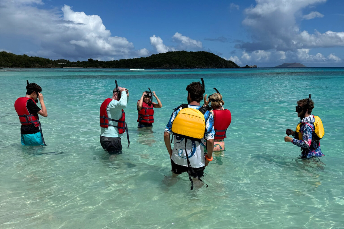 marine life of the US Virgin Islands