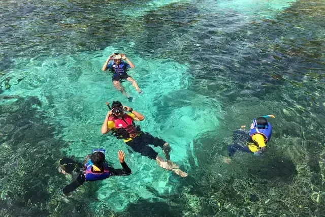 People snorkeling in clear, turquoise water, wearing life vests and masks, near coral.