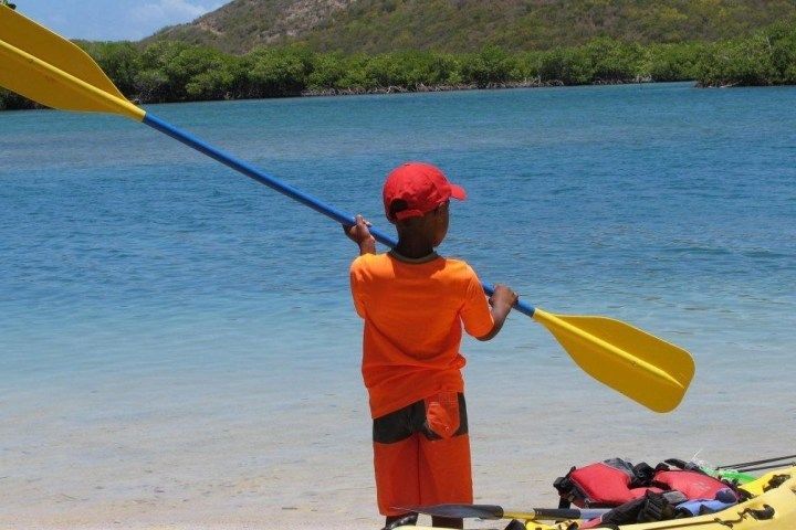 A young boy is holding a yellow kayak paddle on the beach