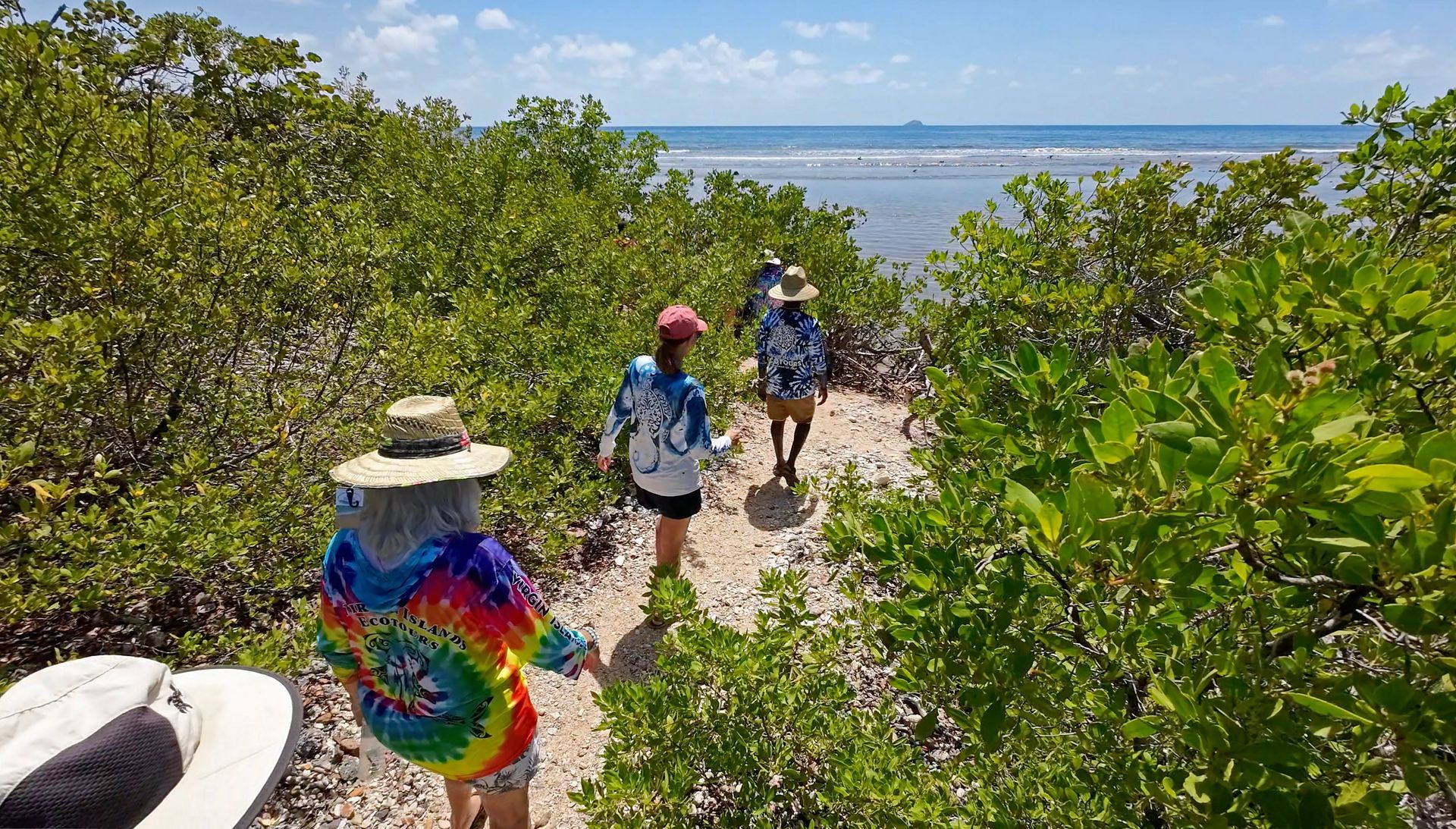 A group of people are walking down a path towards the ocean.