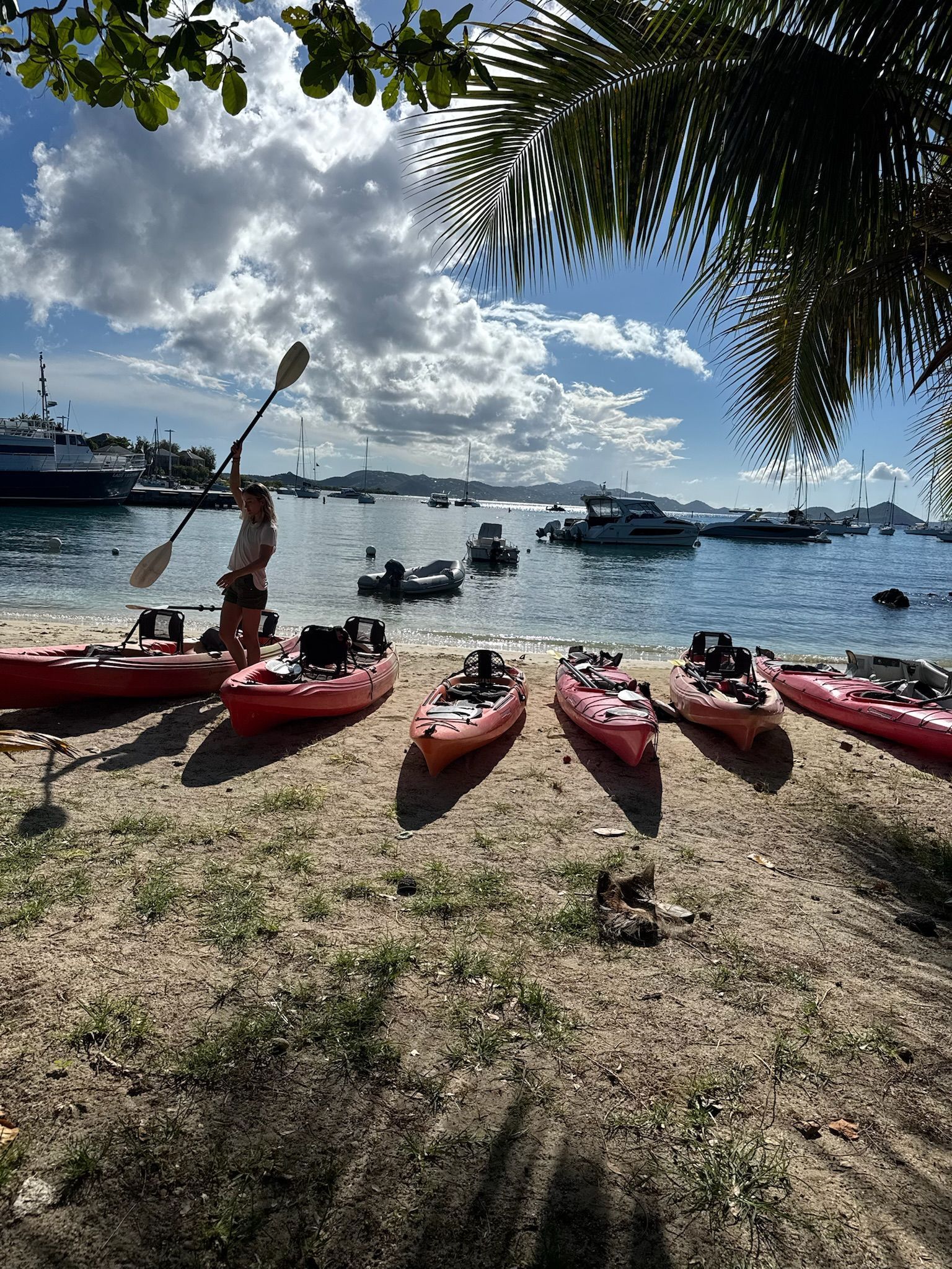 nature tours St. John USVI
