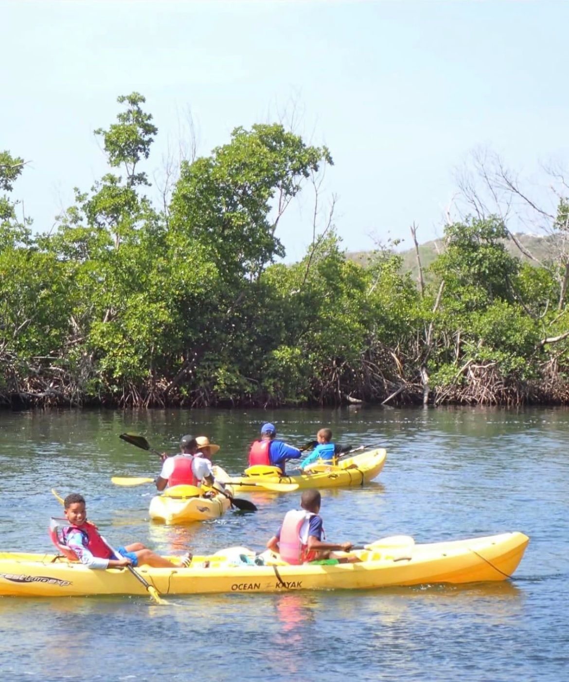 A group of people are paddling kayaks on a river