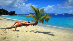 A woman is laying on a palm tree branch on a beach.