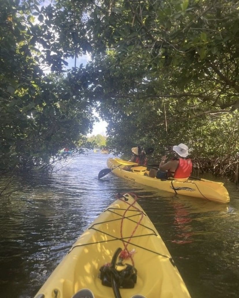A group of people are riding kayaks down a river.