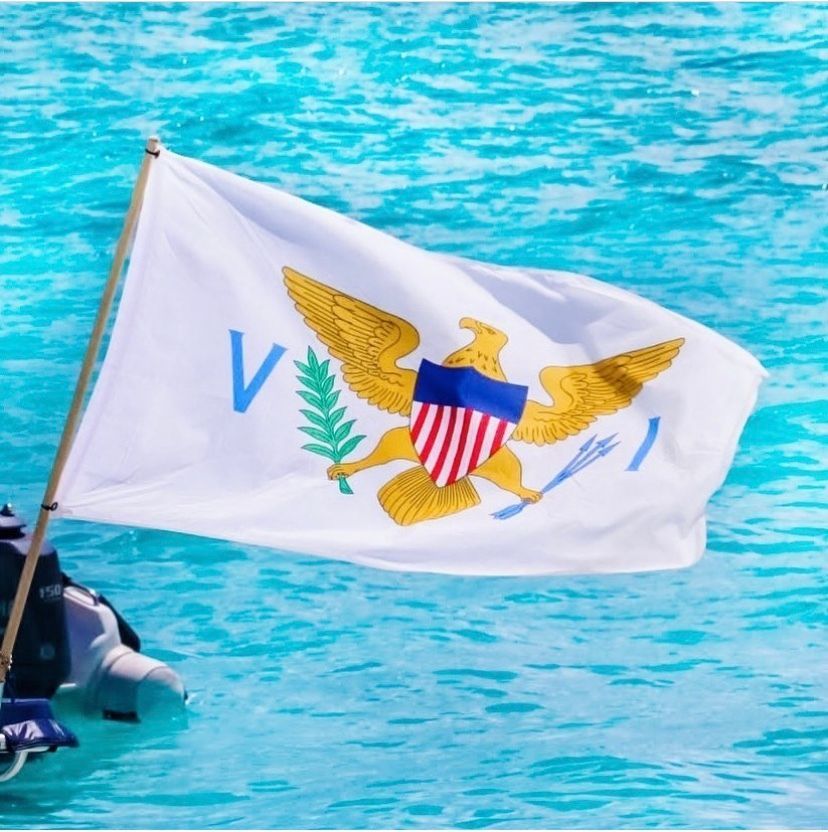 A white flag with an eagle and the letter v on it
