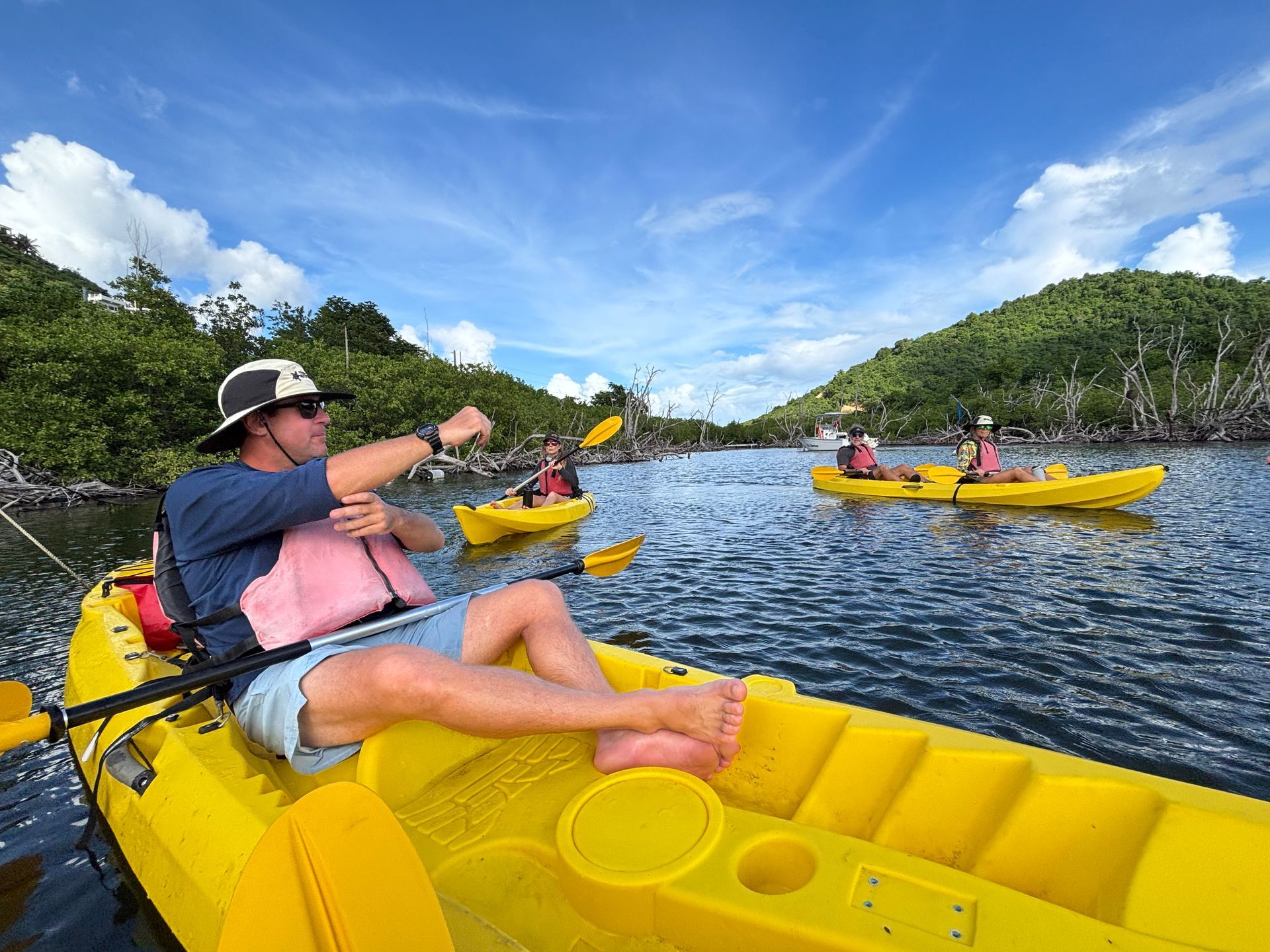 new nature tours on St. John USVI