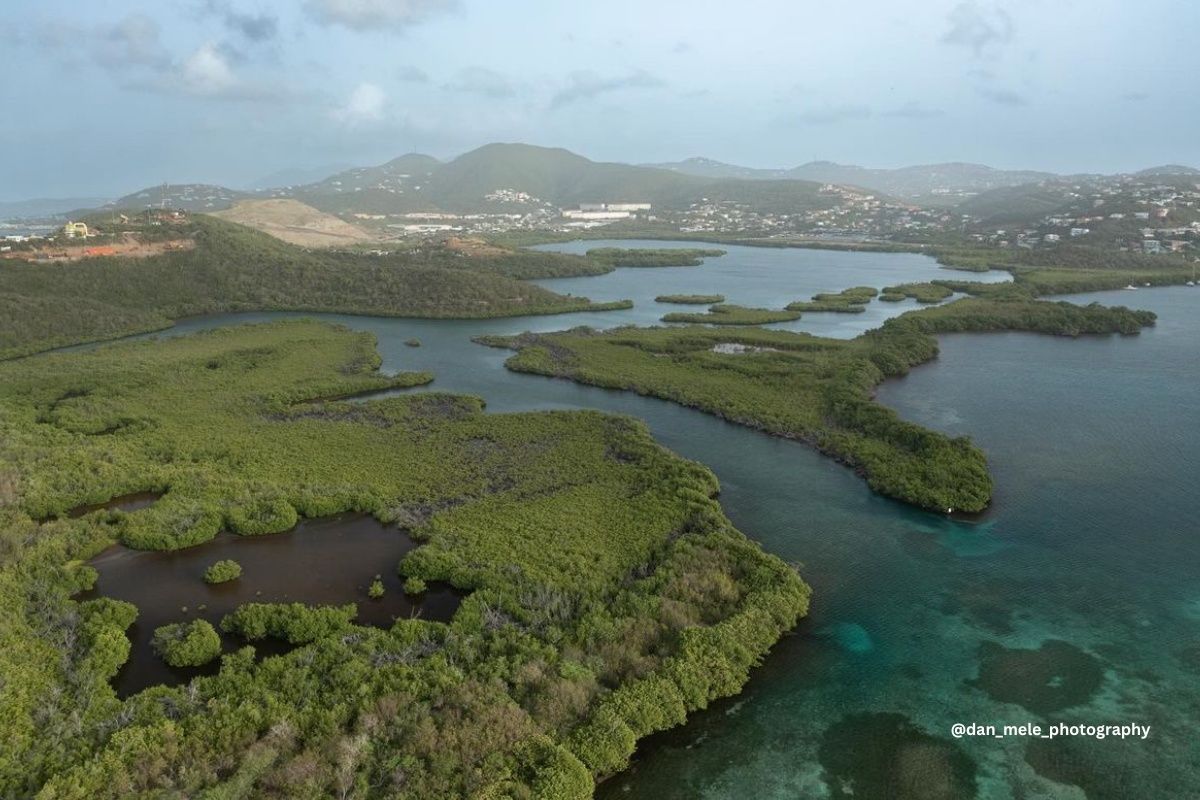An aerial view of a large body of water surrounded by trees and mountains.