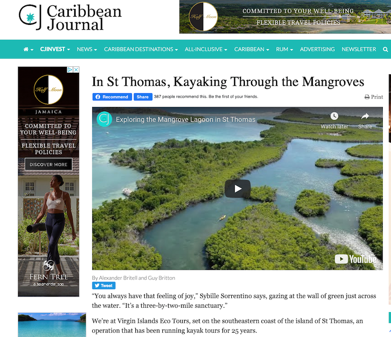 A screenshot of the caribbean journal website showing a woman kayaking through the mangroves.