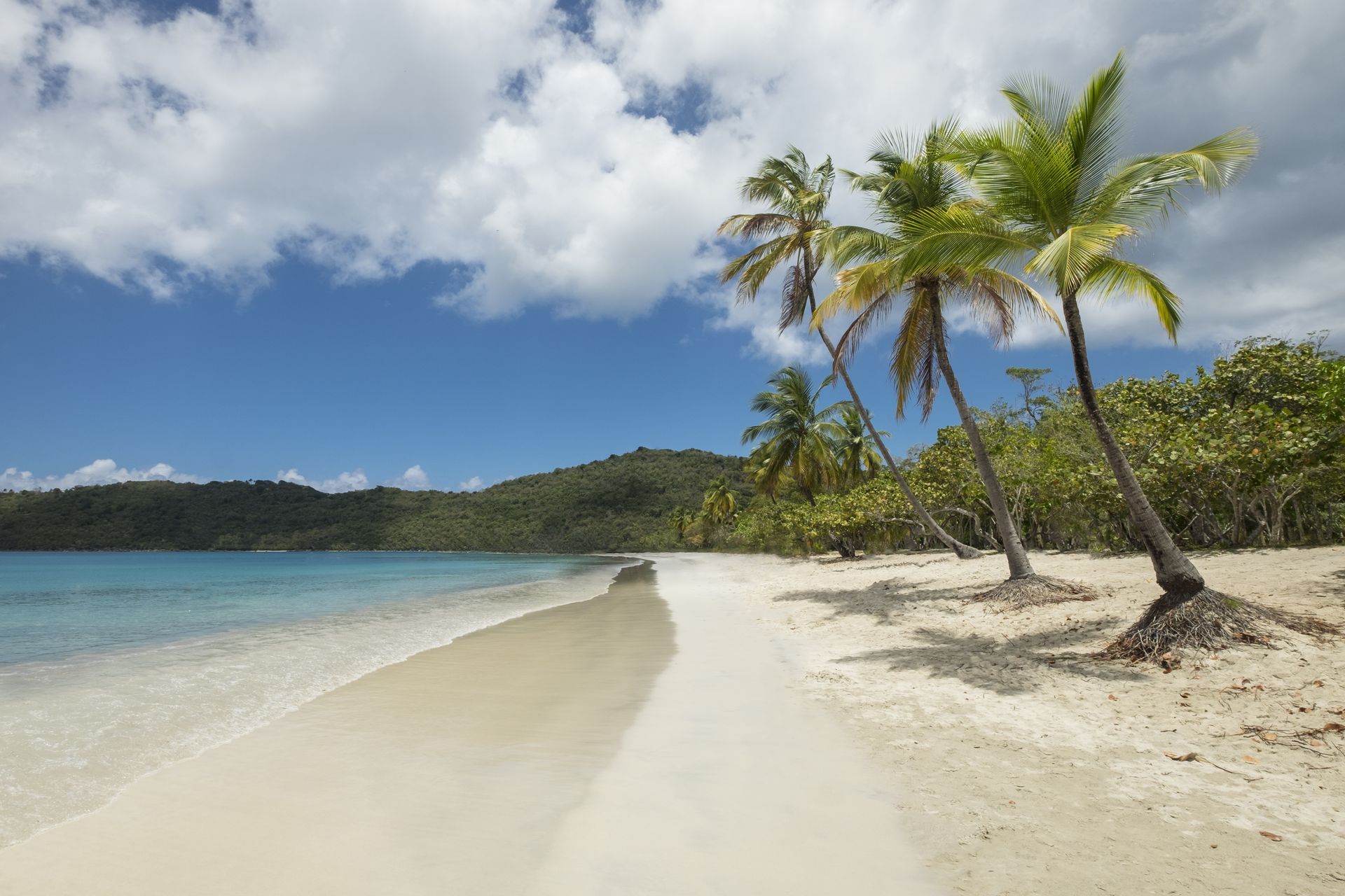 A beautiful, sandy white beach with palm trees