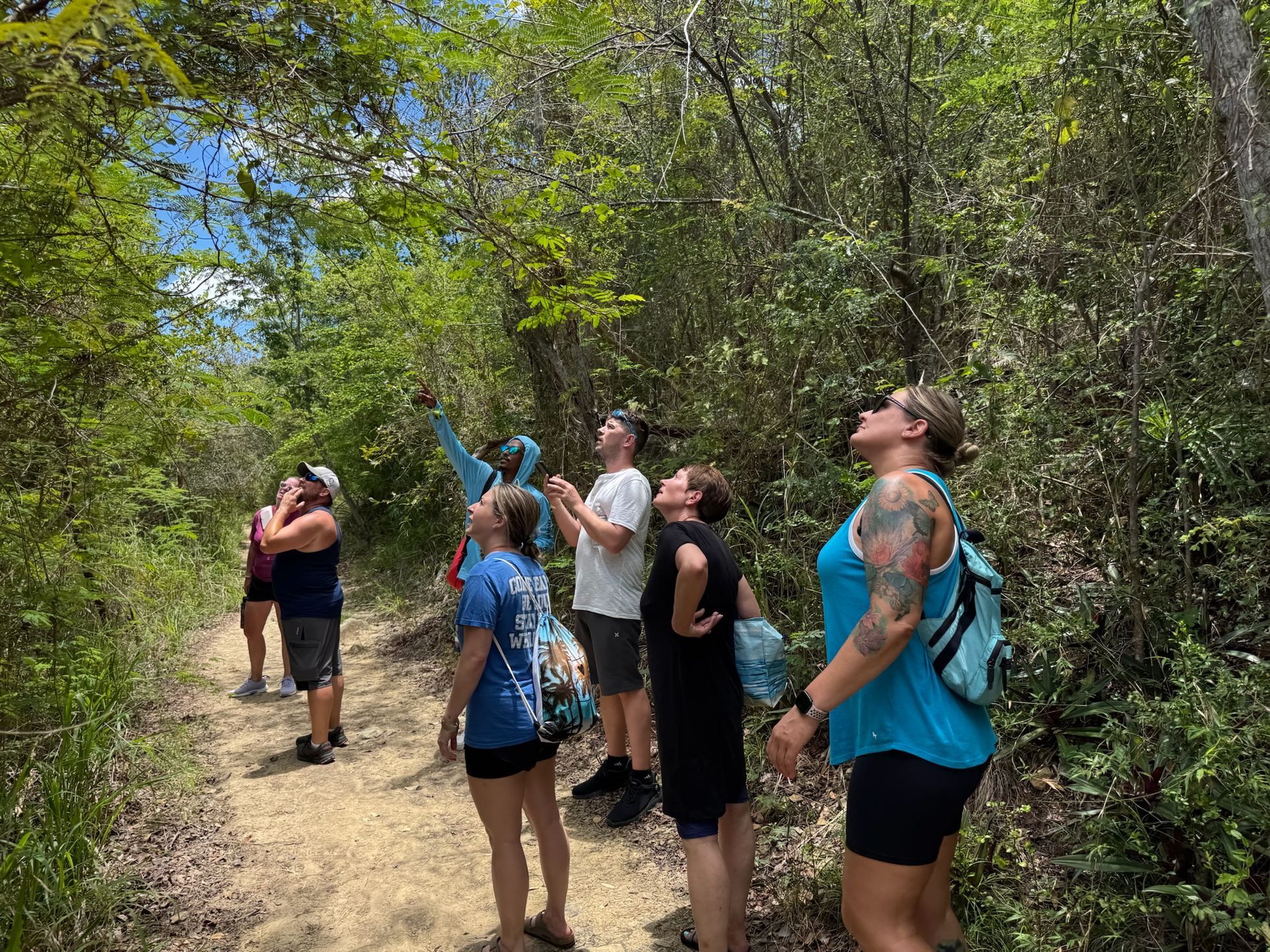hiking tours St. John US Virgin Islands