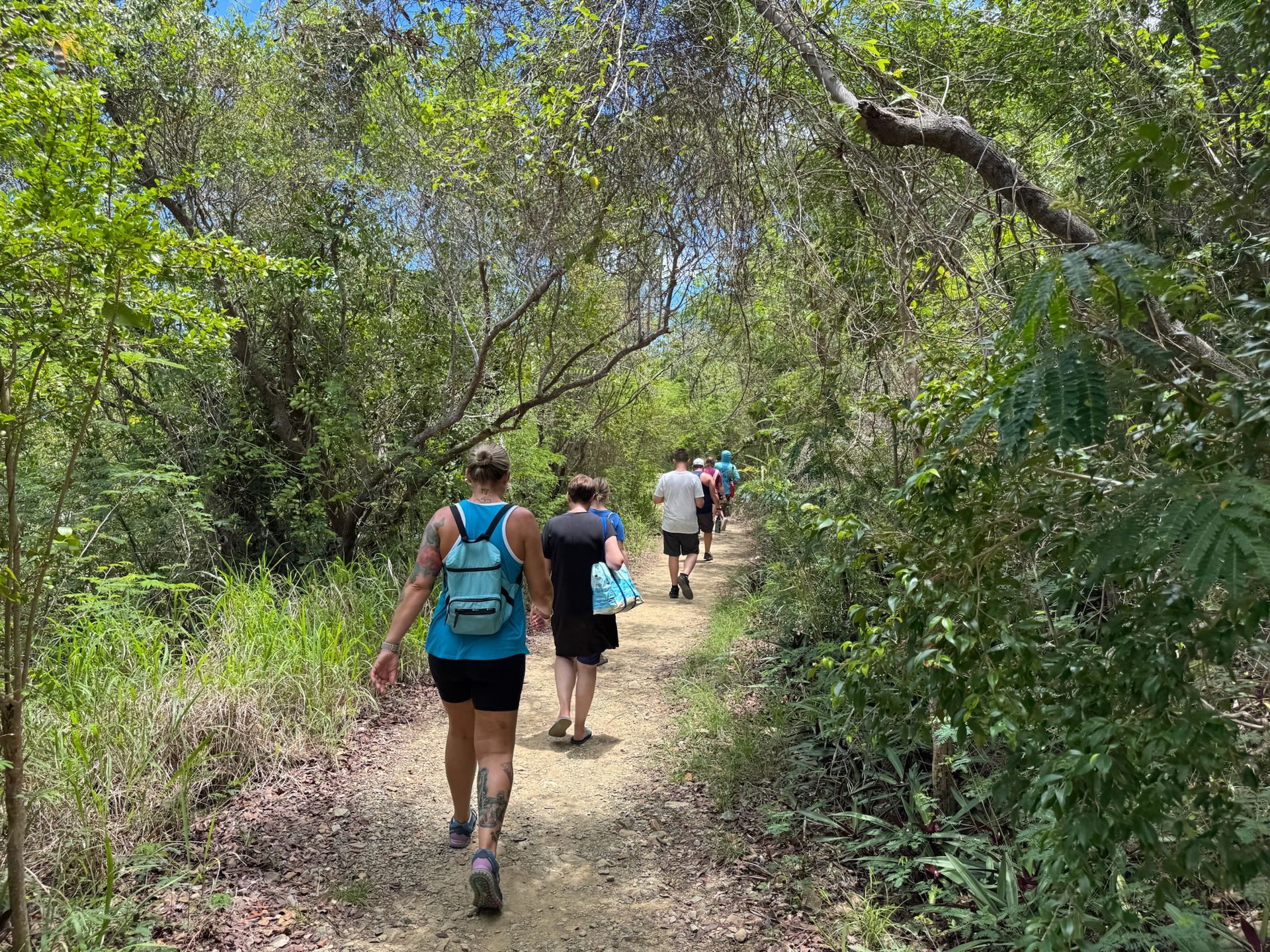 People walking on a path on a tropical island
