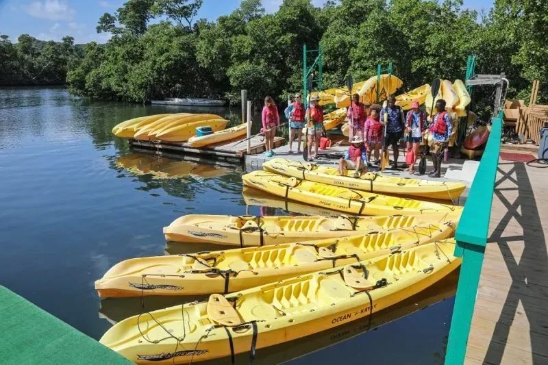 A bunch of yellow kayaks are lined up on a dock