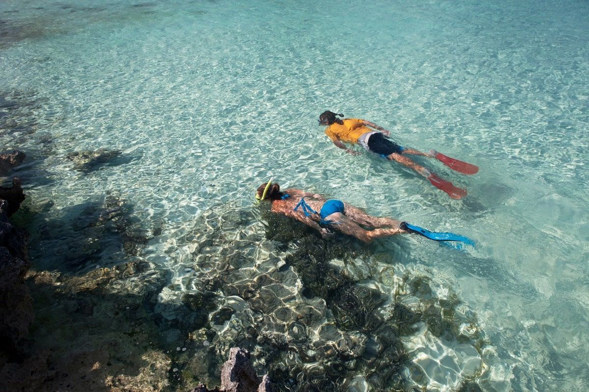 A man and a woman are swimming in the ocean.