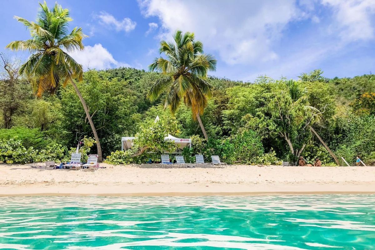 A tropical beach with palm trees and chairs in the water.