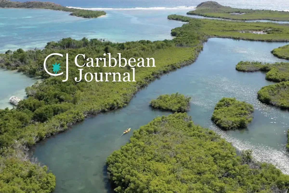 An aerial view of a river surrounded by trees and the words caribbean journal