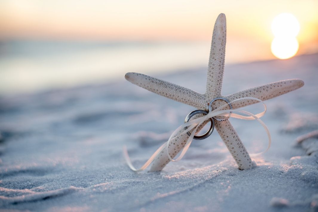 A starfish with wedding rings wrapped around it on the beach.